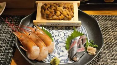 【居酒屋 達】釧路の海鮮居酒屋！ウニの激安日や宮崎直送レア料理も